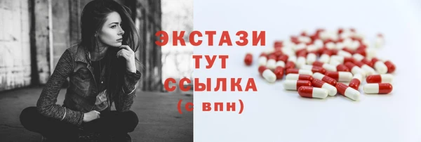 ECSTASY Алзамай