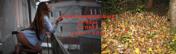 синтетический гашиш Алексин
