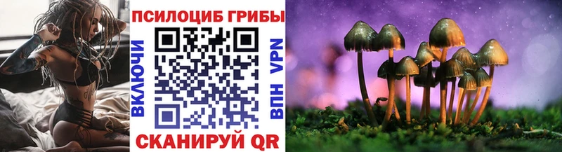 mega вход  Кирсанов  Галлюциногенные грибы мухоморы 
